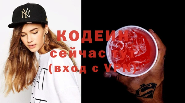 хмурый Бородино