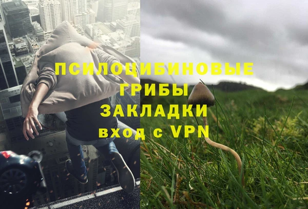 хмурый Бородино