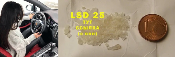 хмурый Бородино