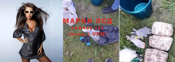 хмурый Бородино