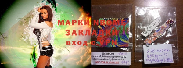 хмурый Бородино